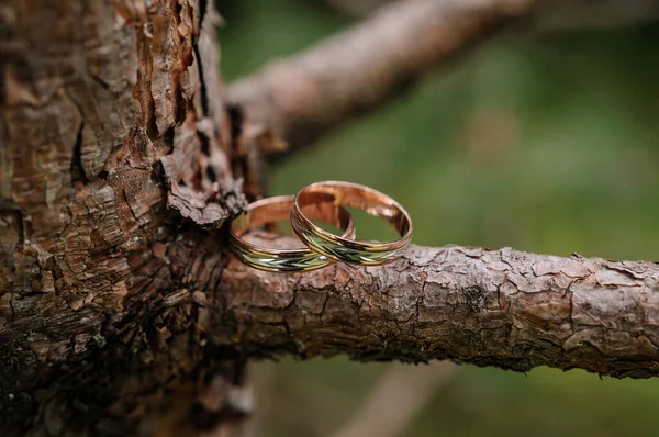 Egy Pár Arany Jegygyűrű Zöld Háttérrel Gyűrűk Háttér Levelek Esküvő — Stock Fotó