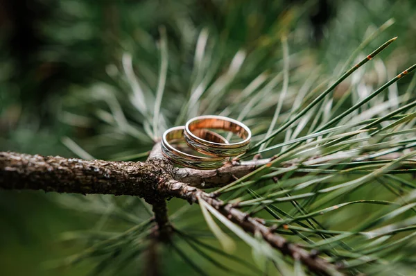 Par Anéis Casamento Dourados Num Fundo Verde Anéis Fundo Folhas — Fotografia de Stock