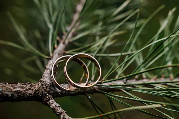 Par Anéis Casamento Dourados Num Fundo Verde Anéis Fundo Folhas — Fotografia de Stock