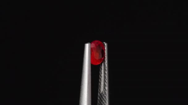 回転テーブルの天然の赤いルビーサファイア — ストック動画