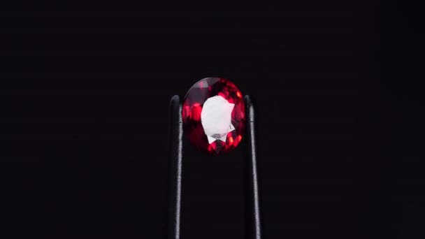 Natuurlijke rode spinel ovale edelsteen op de draaitafel — Stockvideo
