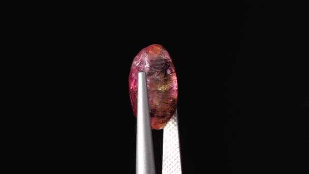 Naturale rubellite tormalina rosa sul tavolo girevole — Video Stock