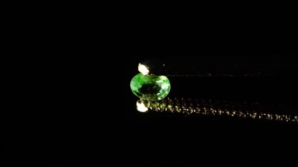 Природный цаворит зеленый овальный гранат в пинцетах — стоковое видео