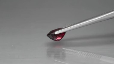 Doğal kırmızı rodolit değerli taş oval kesiği cımbızda.