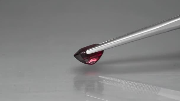 Natural red rhodolite gemstone oval cut in the tweezers — Stock Video