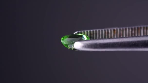 镊子中天然的沙维石绿色椭圆形切割石榴石 — 图库视频影像