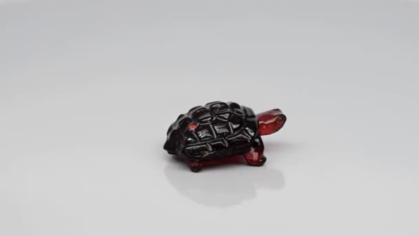 Tortuga curvada granate rojo natural en la mesa giratoria — Vídeos de Stock