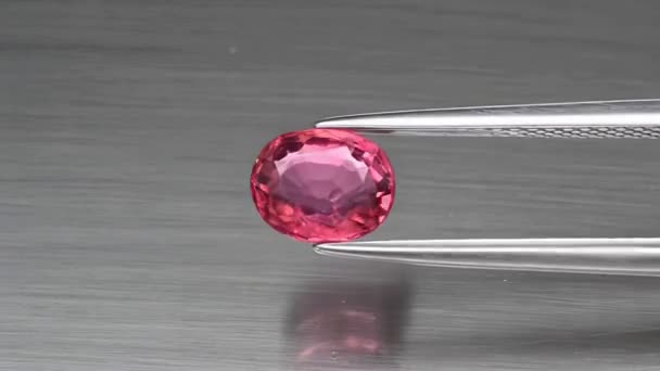 Natural pink tourmaline rubellite in faceted oval cut in the tweezers — Stock Video