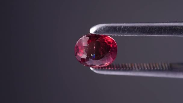 Natural pink tourmaline rubellite in faceted oval cut in the tweezers — Stock Video