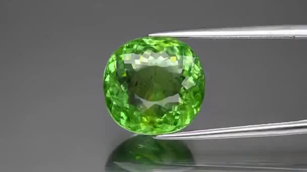 镊子上的天然宝石绿色电气石垫子 — 图库视频影像