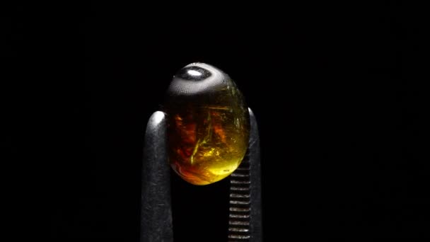 Natürlichen ovalen Cabochon geschnitten dunkelgelben Turmalin in der Pinzette — Stockvideo