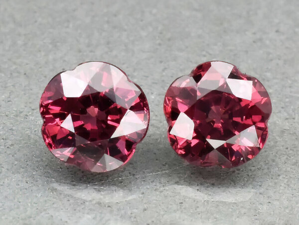 Natural gemstone Rhodolite Garnet in tweezers on a gray background