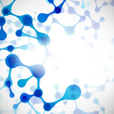 dna molekülünün yapısı