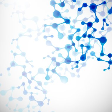 dna molekülünün yapısı