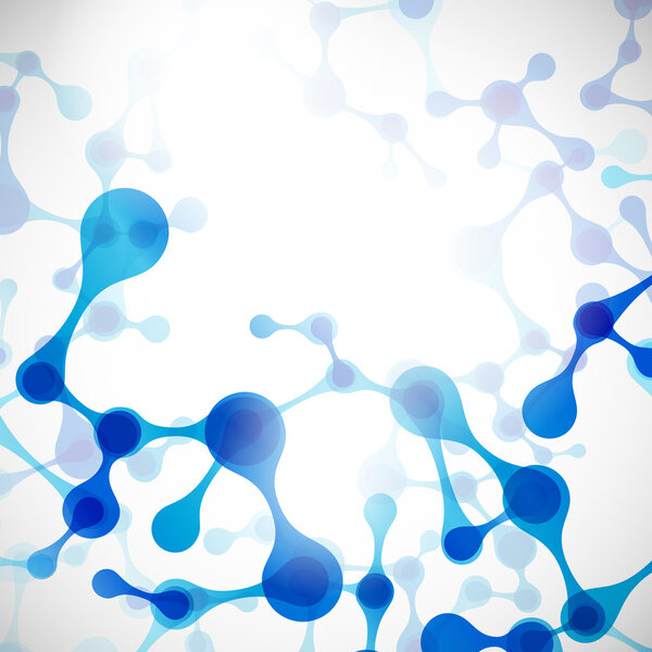 Structure of the DNA molecule