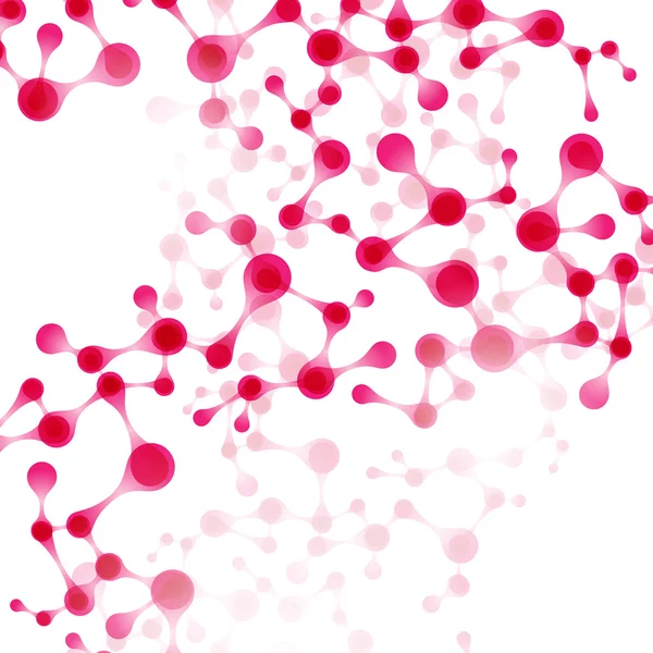 Structuur van de dna-molecule — Stockvector