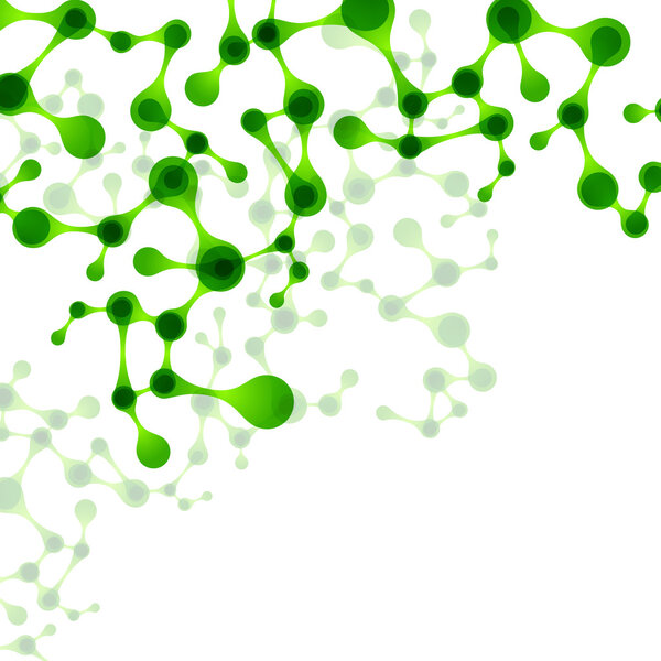 Structure of the DNA molecule