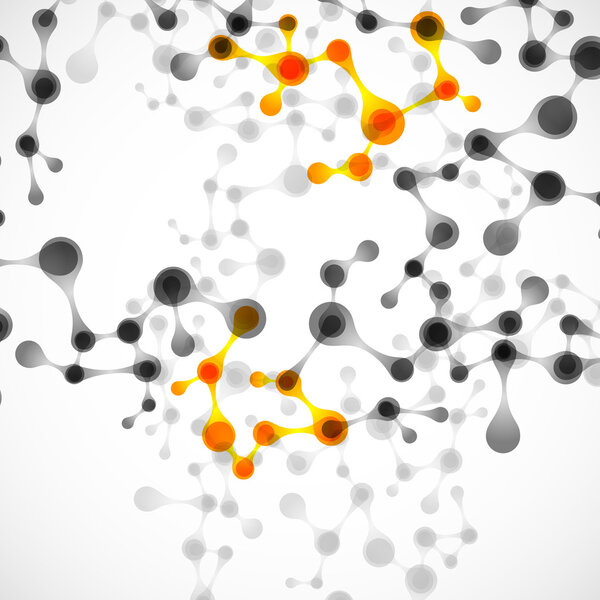 Structure of the DNA molecule