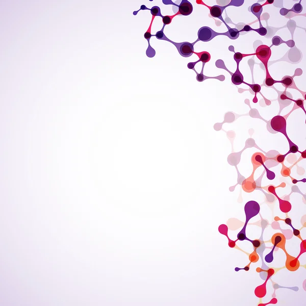 Structuur van de dna-molecule — Stockvector