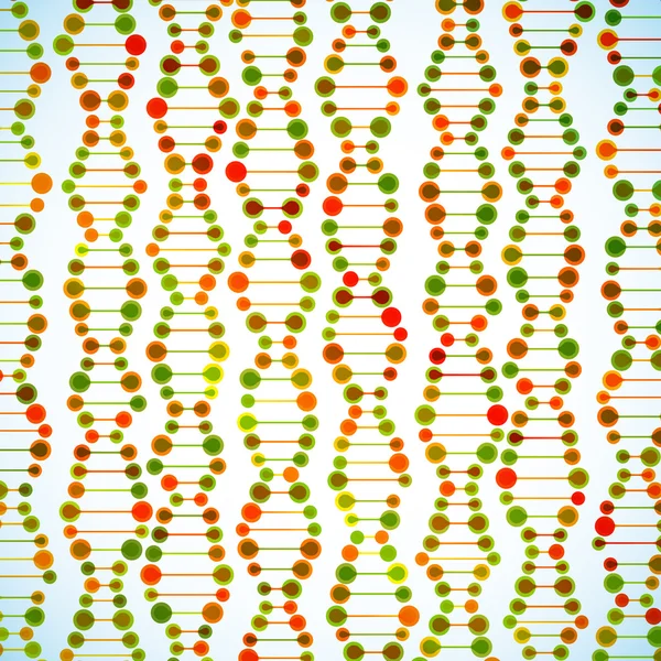 Structure de la molécule d'ADN — Image vectorielle