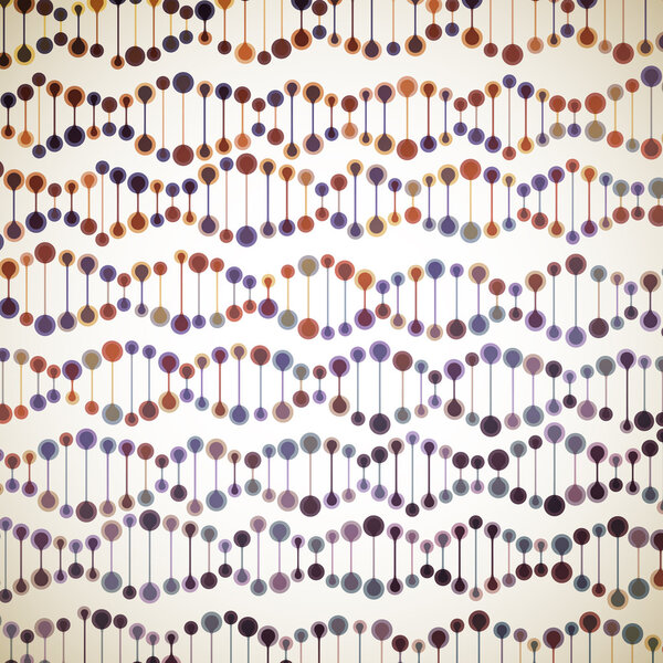 Structure of the DNA molecule
