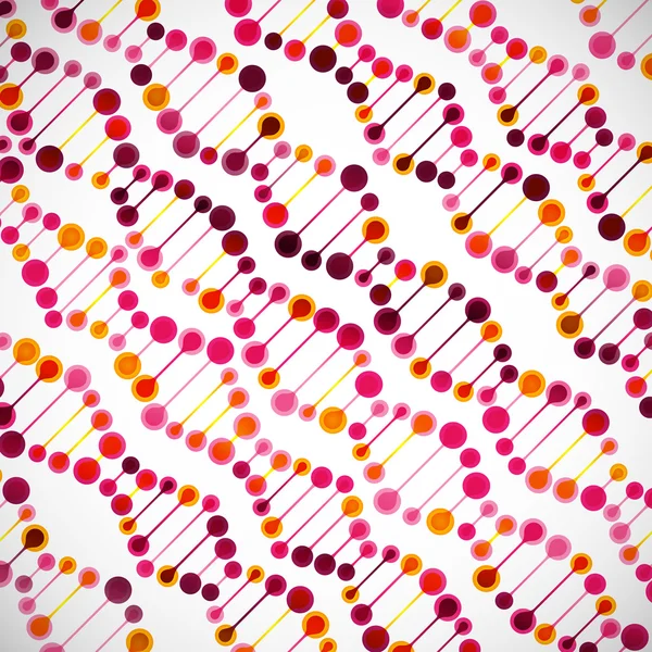 Estructura de la molécula de ADN — Archivo Imágenes Vectoriales