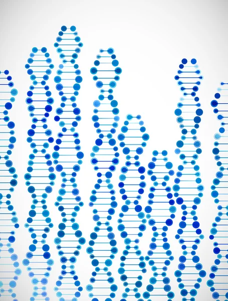 Struktur des dna-Moleküls — Stockvektor