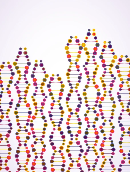 Estructura de la molécula de ADN — Archivo Imágenes Vectoriales