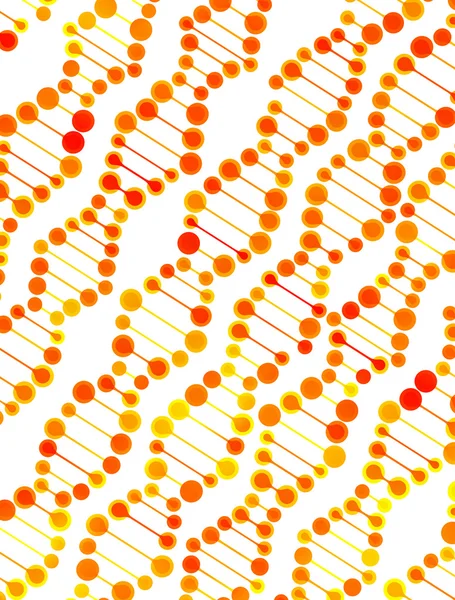 Struktura molekuly dna — Stockový vektor