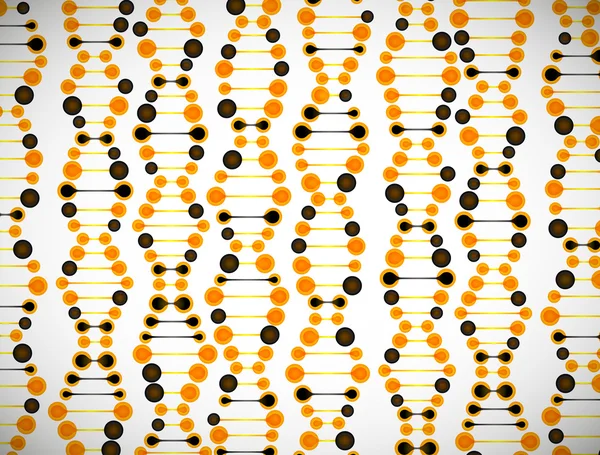 Structuur van de dna-molecule — Stockvector