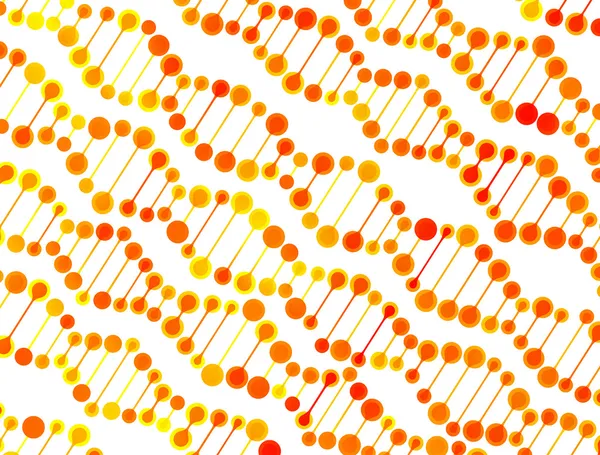 Dna 分子的结构 — 图库矢量图片