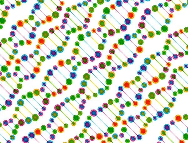 Struttura della molecola di DNA — Vettoriale Stock