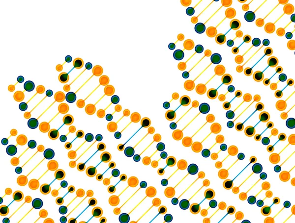 Struktur av dna-molekylen — Stock vektor