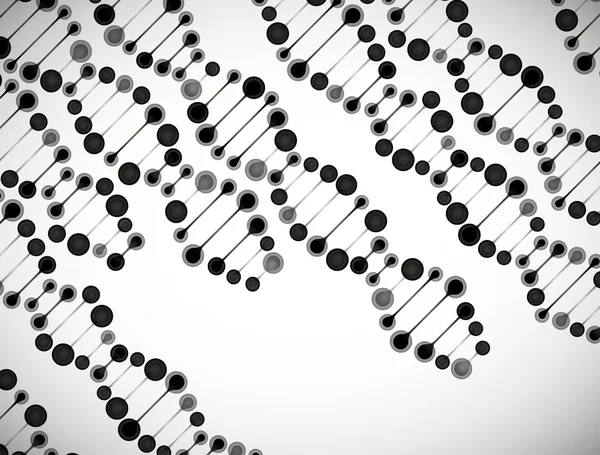 Estructura de la molécula de ADN — Archivo Imágenes Vectoriales