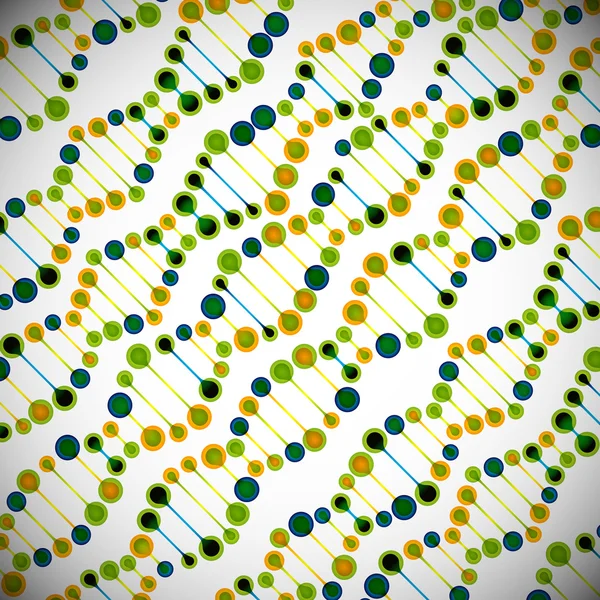 Estructura de la molécula de ADN — Vector de stock