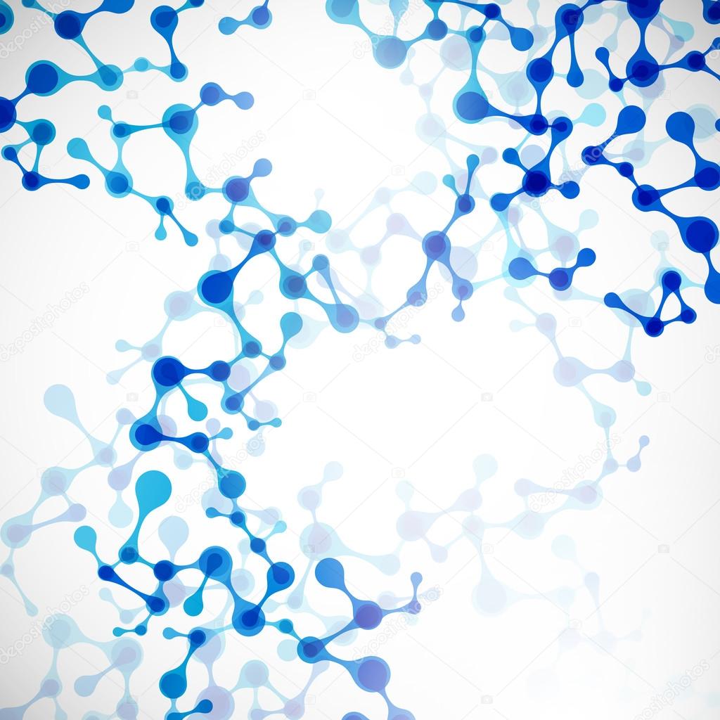 Structure of the DNA molecule