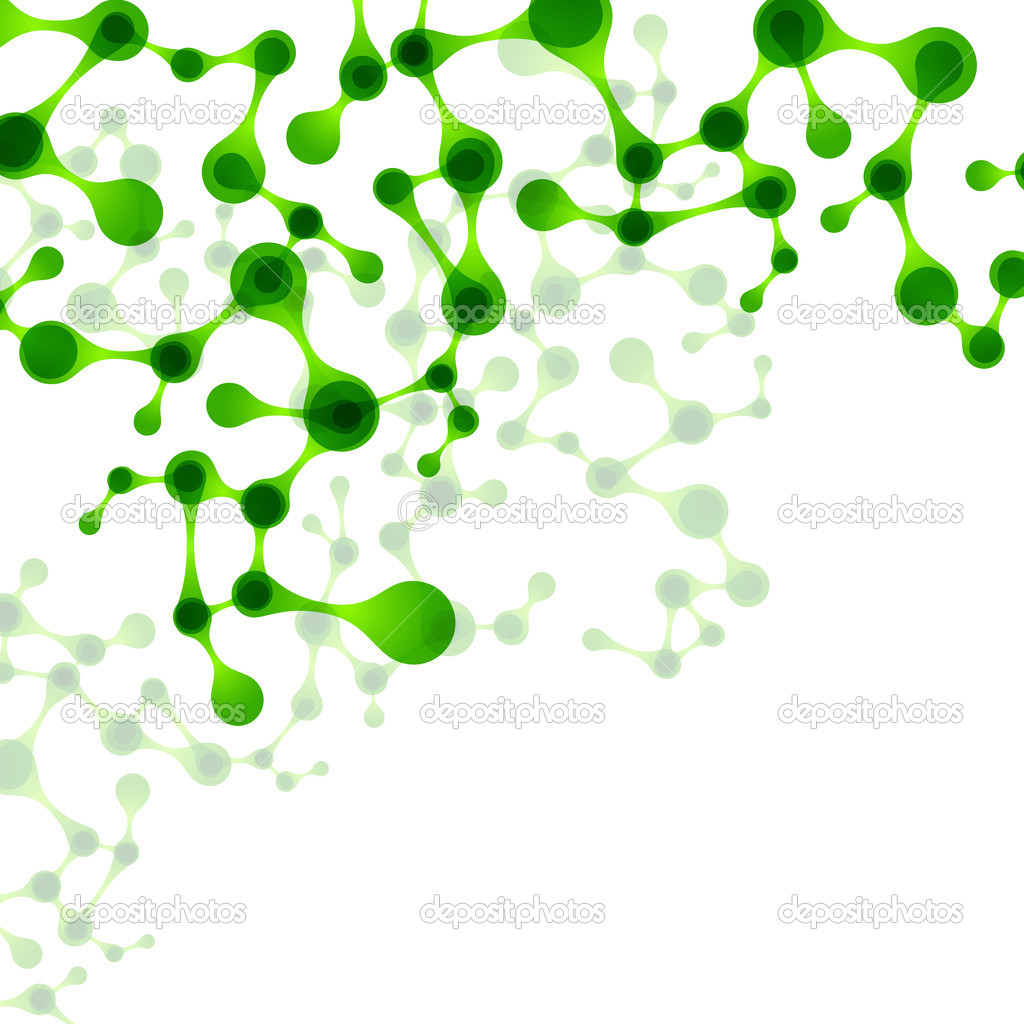 Structure of the DNA molecule