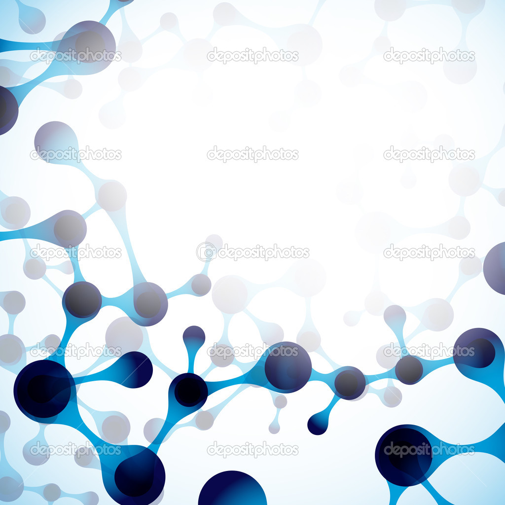 Structure of the DNA molecule