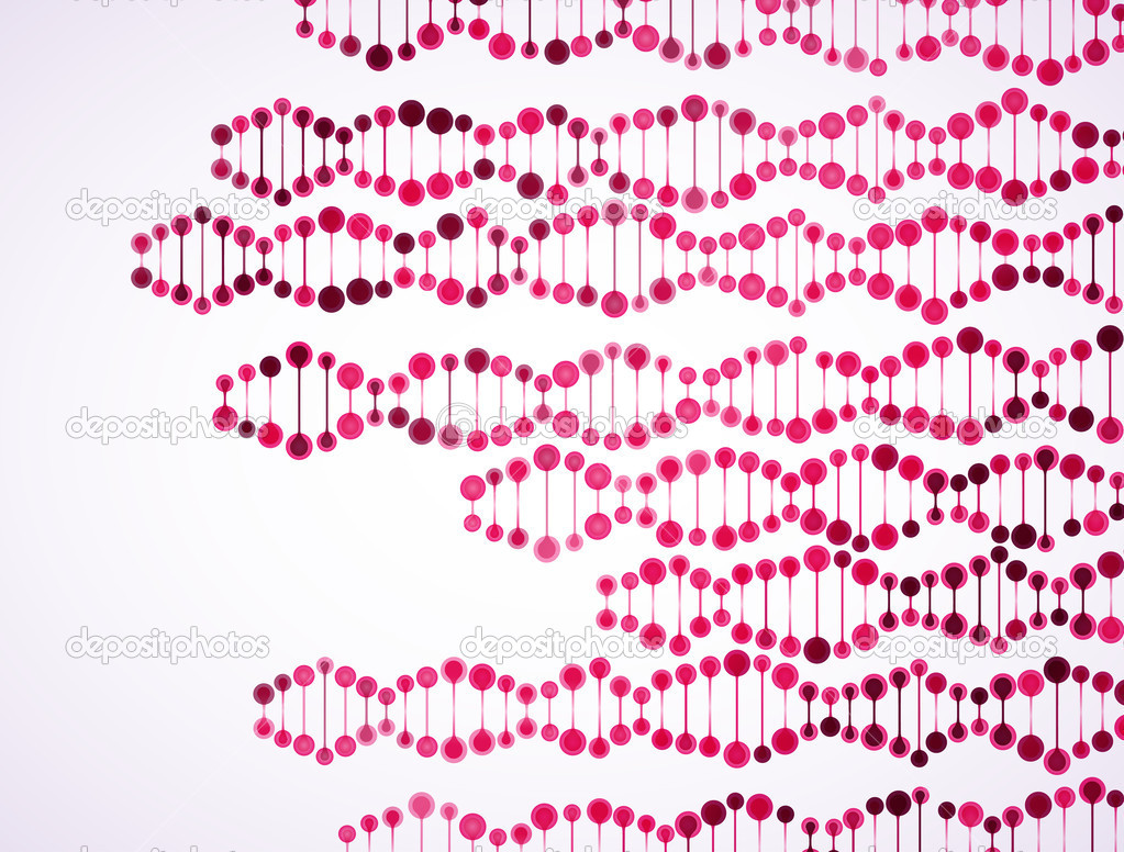 Structure of the DNA molecule