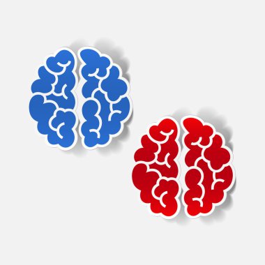 gerçekçi tasarım öğesi: beyin