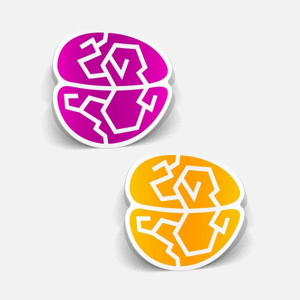 Realistic design element: brain — Stock Vector