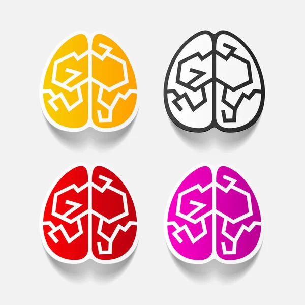 Realistic design element: brain — Stock Vector