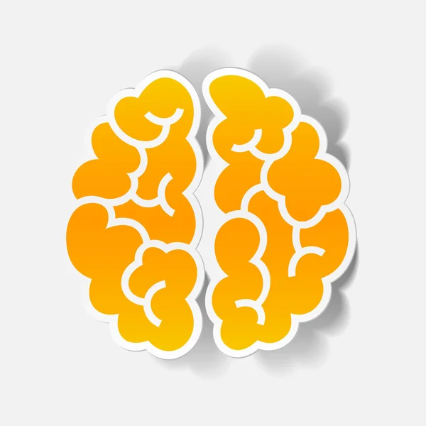 Elemento de diseño realista: cerebro — Vector de stock