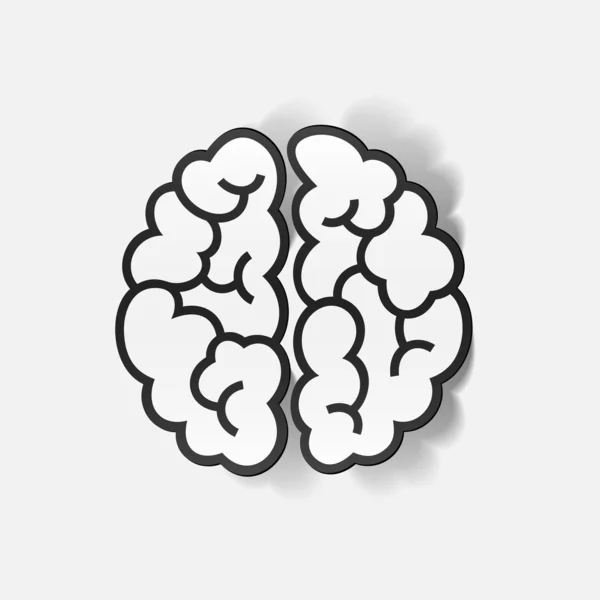 Elemento de diseño realista: cerebro — Vector de stock