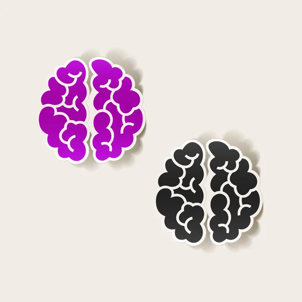 Realistic design element: brain — Stock Vector