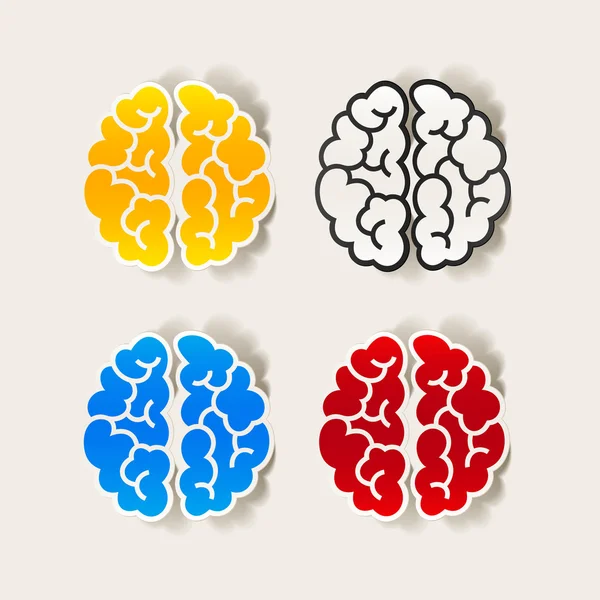 現実的な設計要素: 脳 — ストックベクタ