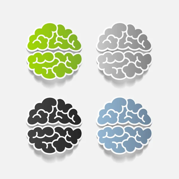 Elemento de diseño realista: cerebro — Vector de stock