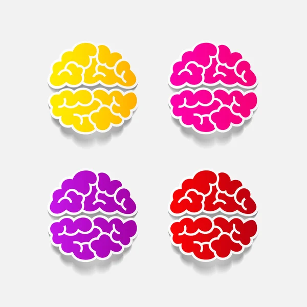 Realistic design element: brain — Stock Vector