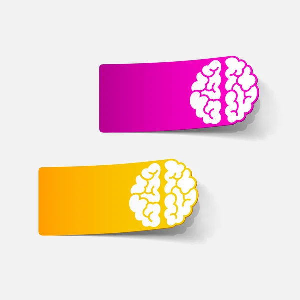 Realistic design element: brain — Stock Vector