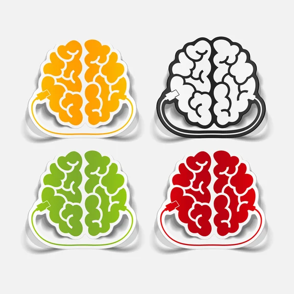 Elemento de diseño realista: cerebro-usb, enchufe — Vector de stock